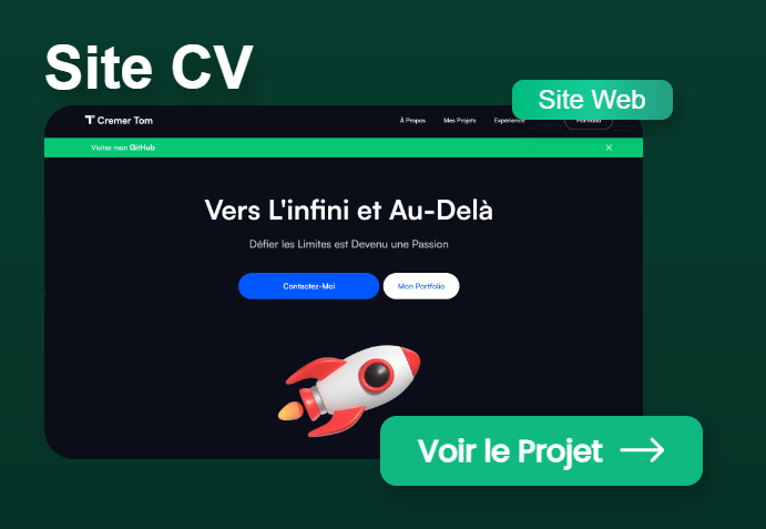 Portfolio V1
